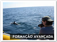 Formação Avançada