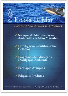 Descarregar Ficheiro