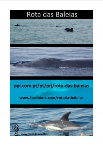 Cartaz_Baleias022014