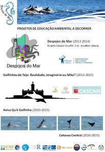 Projetos ea Estevão Borges2014